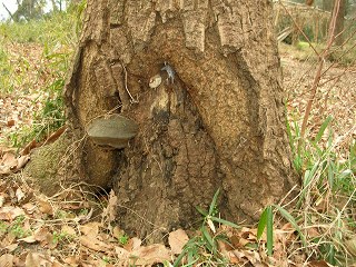 050123_005.jpg (39764 バイト)