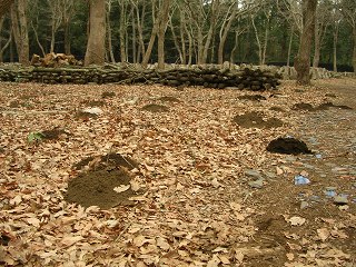 050123_016.jpg (39458 バイト)