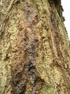 050123_031.jpg (44070 バイト)