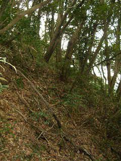 050123_041.jpg (42922 バイト)