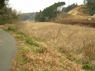 050123_058.jpg (40250 バイト)