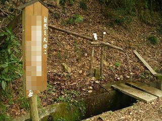 050123_061.jpg (40313 バイト)