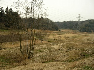 050123_066.jpg (38720 バイト)