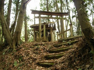 050123_073.jpg (40408 バイト)