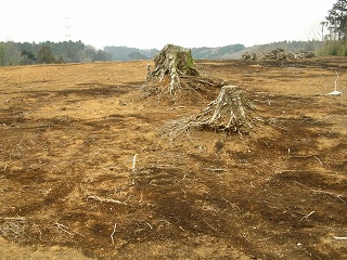050123_086.jpg (39126 バイト)