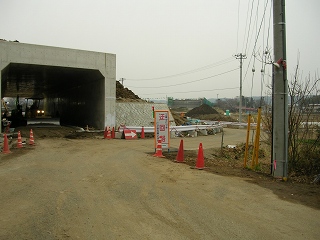 050123_092.jpg (37470 バイト)