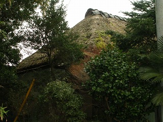 050123_096.jpg (39720 バイト)