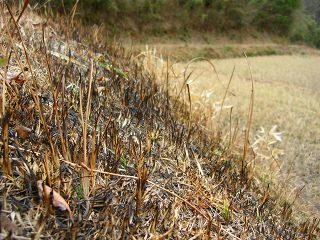 050220_076.jpg (30535 oCg)