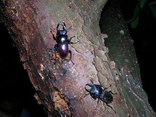 050707_008.jpg (29645 oCg)