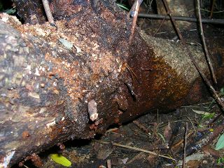 050707_013.jpg (30528 oCg)