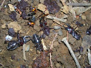 050707_018.jpg (30514 oCg)