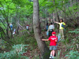 050717_002.jpg (30249 oCg)