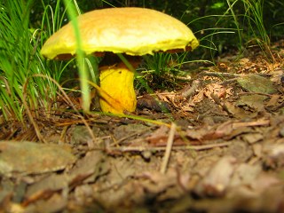 050724_022.jpg (30287 oCg)