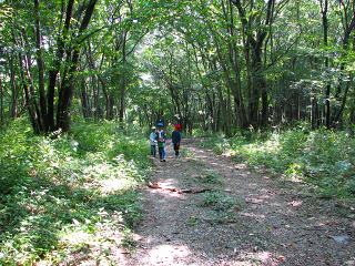 050731_037.jpg (29934 oCg)