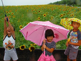 050815_003.jpg (30217 バイト)