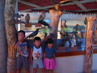 050815_024.jpg (29367 バイト)