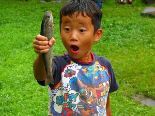050815_075.jpg (29636 バイト)
