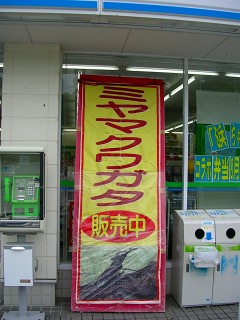 050816_004.jpg (31735 バイト)