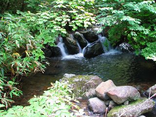 050816_090.jpg (30469 バイト)