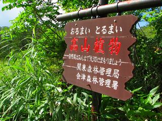 050816_099.jpg (30243 バイト)
