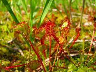 050816_102.jpg (30682 バイト)