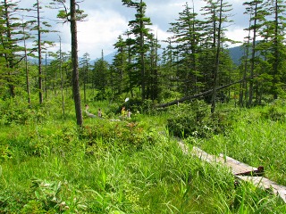 050816_106.jpg (51004 バイト)