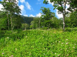 050816_119.jpg (30423 バイト)
