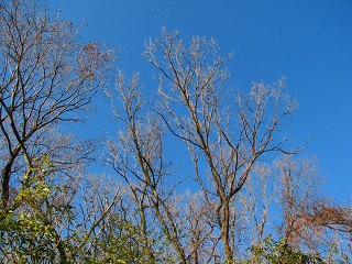 051225_039.jpg (30151 oCg)