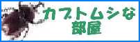 day.jpg (5261 バイト)