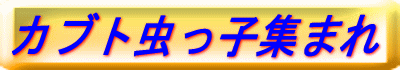 musikko.gif (11355 バイト)