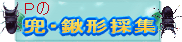 p.gif (6941 バイト)